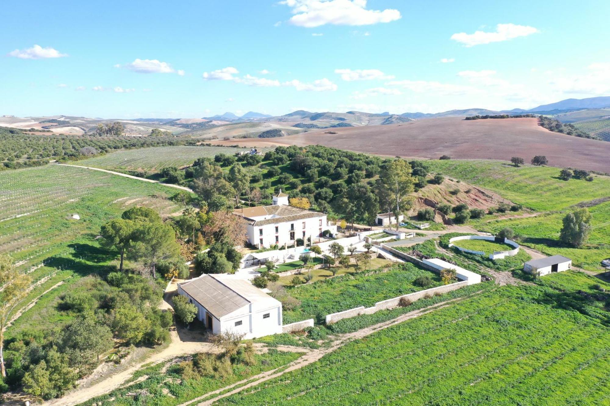 Hacienda Las Lumbreras Montellano Extérieur photo